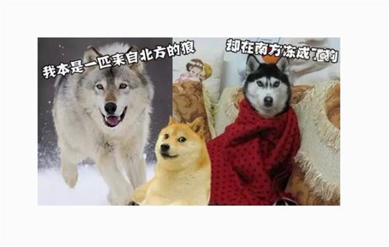 温补晶振 2018斗图大战背后的“时间管理大师”